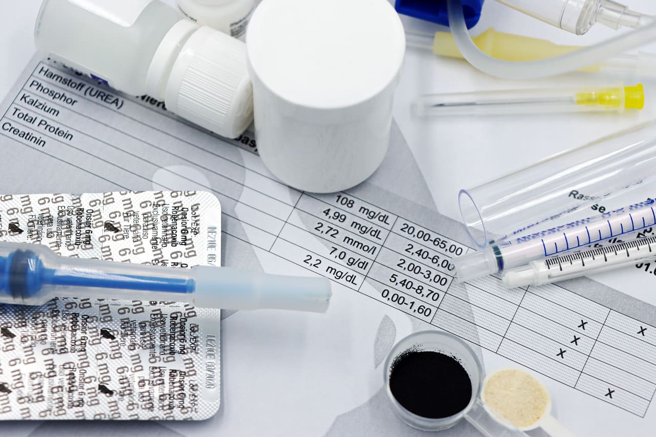 Material de coleta e resultados de exame de sangue veterinário